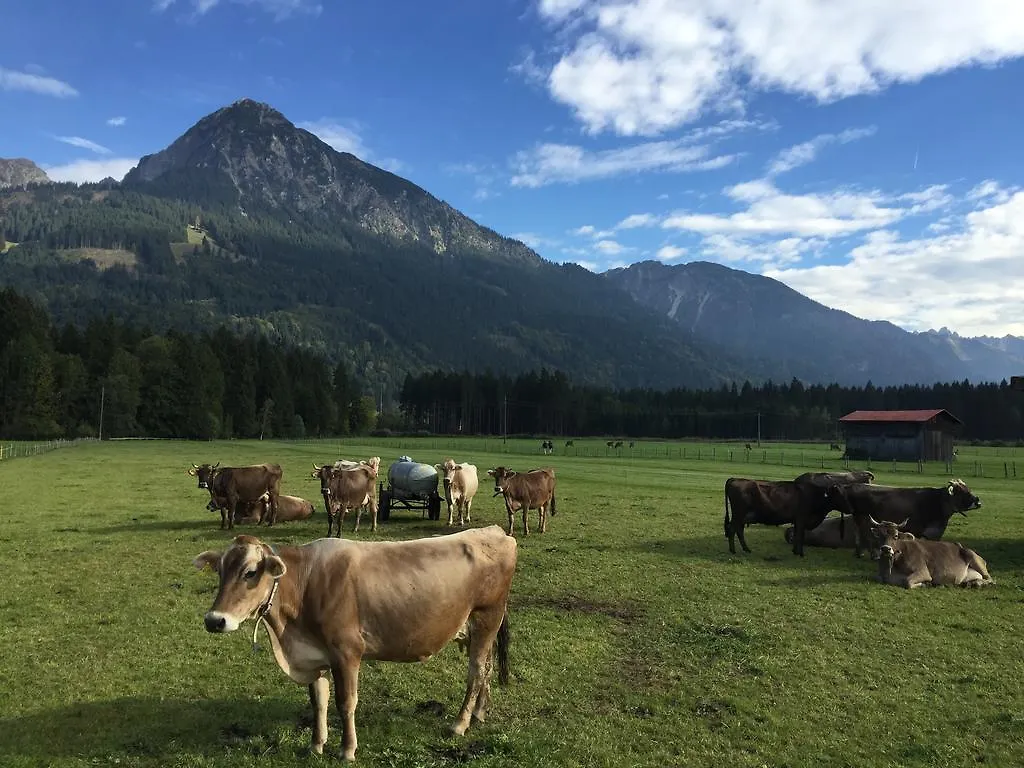 Steinbock Bed & Breakfast Fischen im Allgaeu 3*,